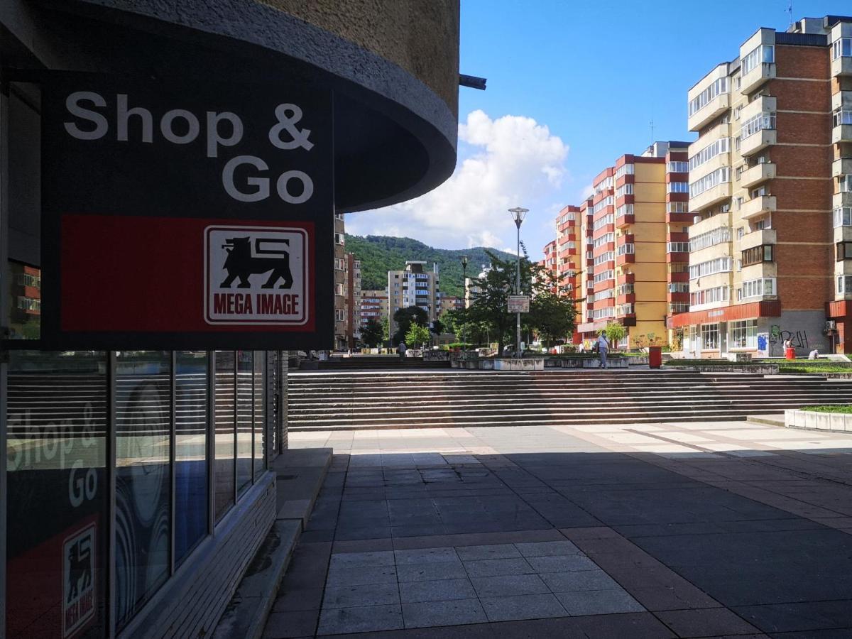 Mid-Term Rental Racadau Apartment Braşov Eksteriør bilde
