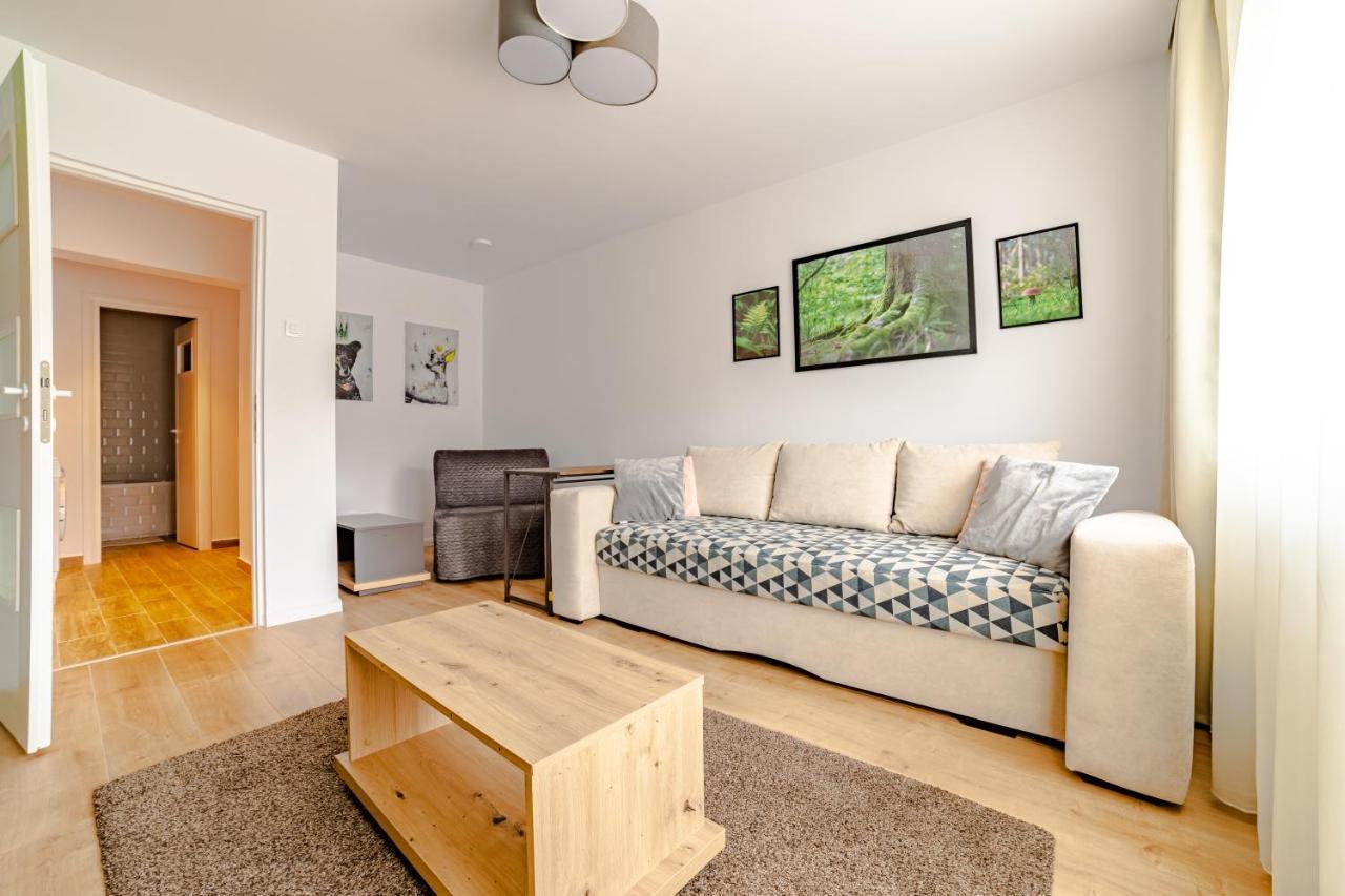 Mid-Term Rental Racadau Apartment Braşov Eksteriør bilde